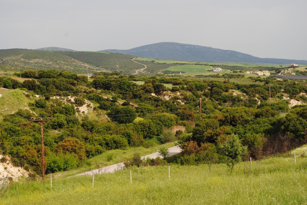 Daniil'S Luxury Villa And Spa Agios Antonios  Exterior photo